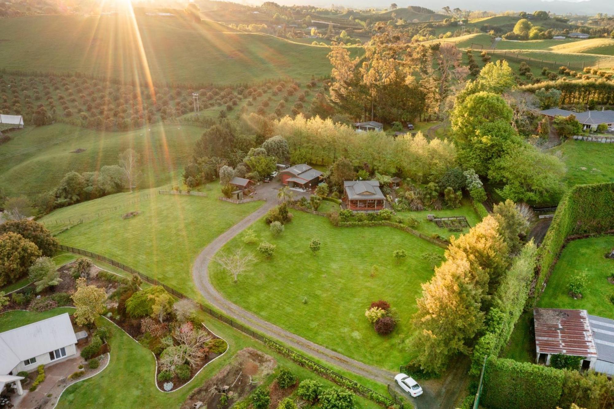 Swiss-Kiwi Cottage And Retreat, B&B Tauranga Exterior foto